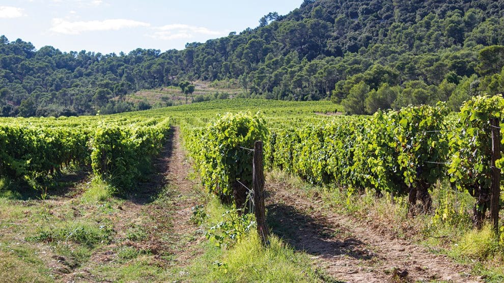 L'Isle-sur-la-Sorgue 2/4 : Côté terroir, bières et vins