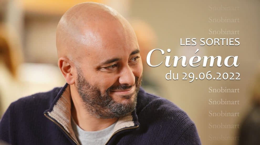 Snobinart Sorties Cinéma du 22 juin 2022 Films Jérôme Commandeur dans Irréductible