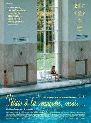Affiche du film "J'étais à la maison, mais..."