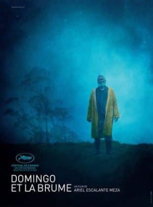Affiche du film "Domingo et la brume"