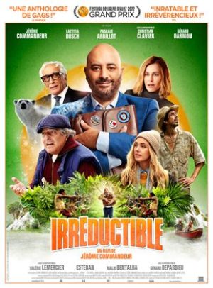 Affiche du film "Irréductible"