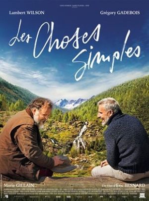 Affiche du film "Les Choses simples"